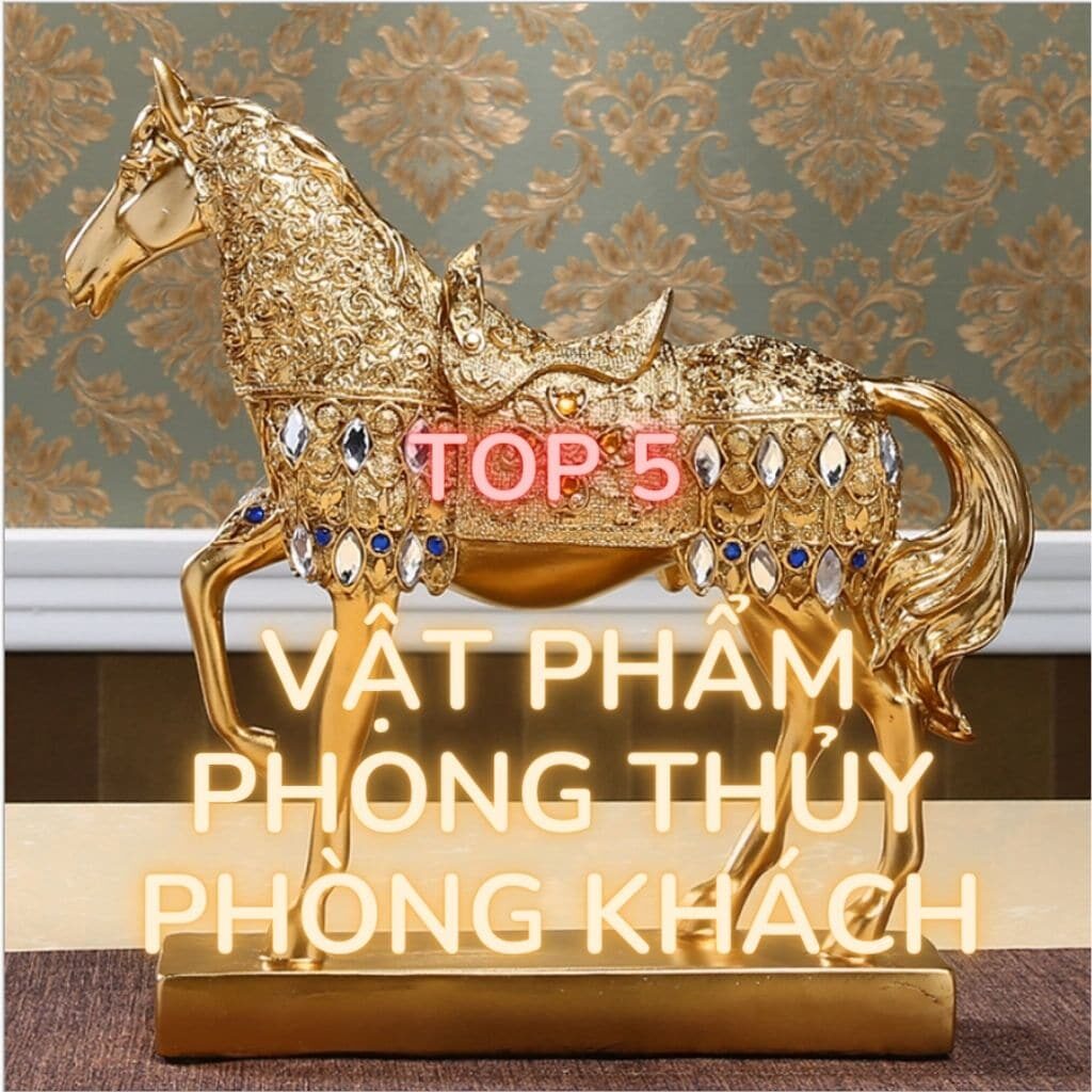 top 5