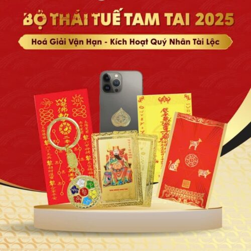 Bộ Thái Tuế 2025 Hoá Giải Cho Tuổi Tị, Hợi, Thân, Dậu