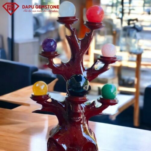 Cây thất tinh trận ngũ sắc